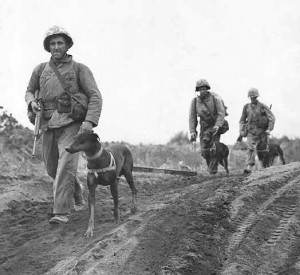 Marines with Dogs